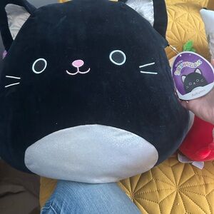 Squishmallow Car - Autumn